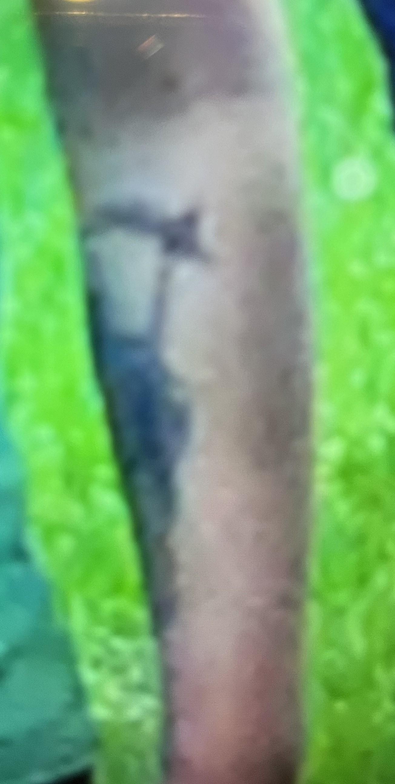 tattoo2.jpg